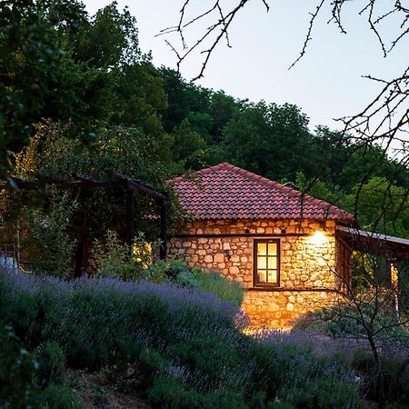Ktima Bellou Agios Dimitrios  Экстерьер фото