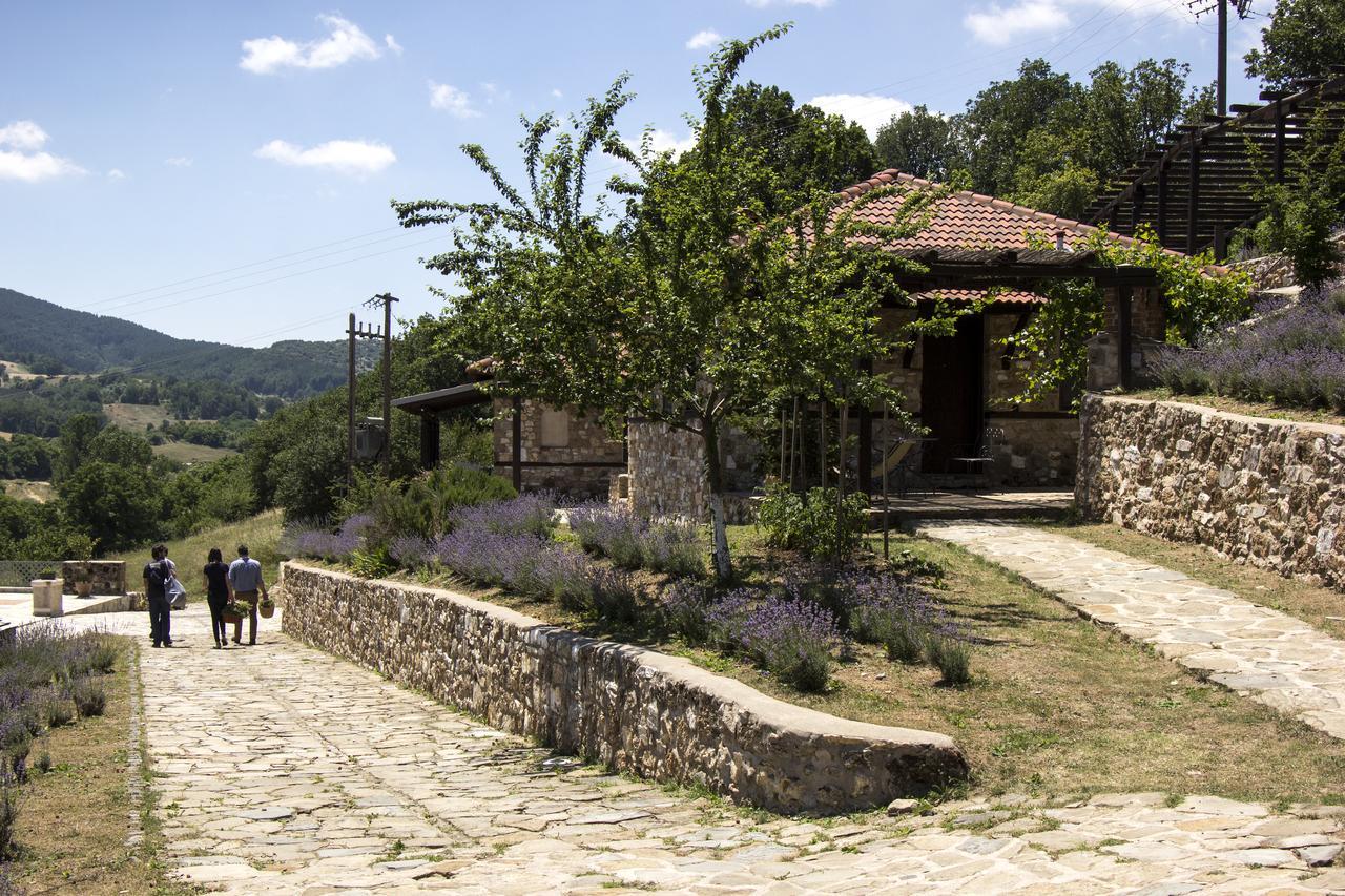 Ktima Bellou Agios Dimitrios  Экстерьер фото